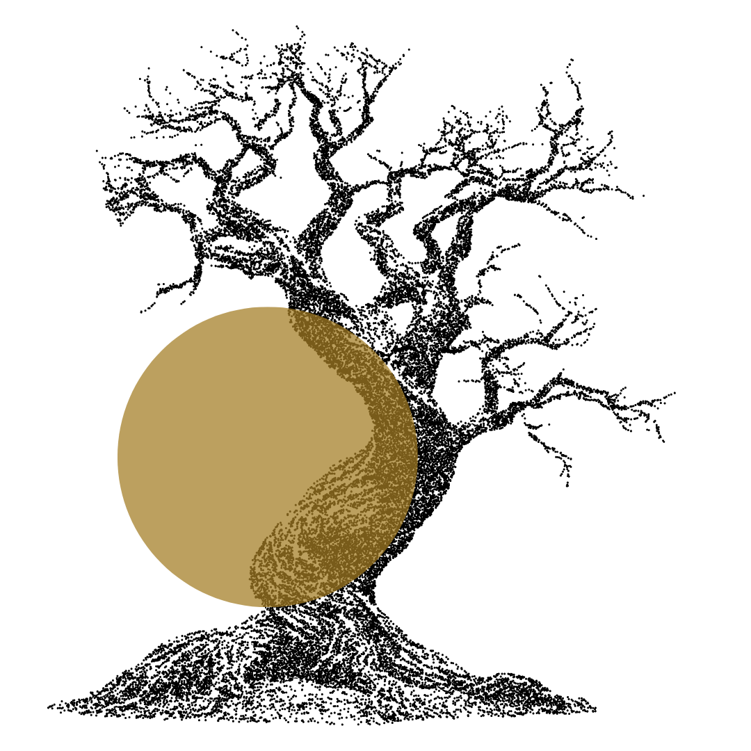 Step 3: Elevate